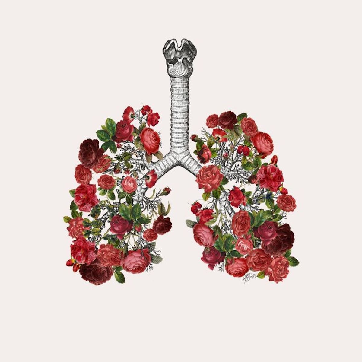 Canada - I'm asking for your help!