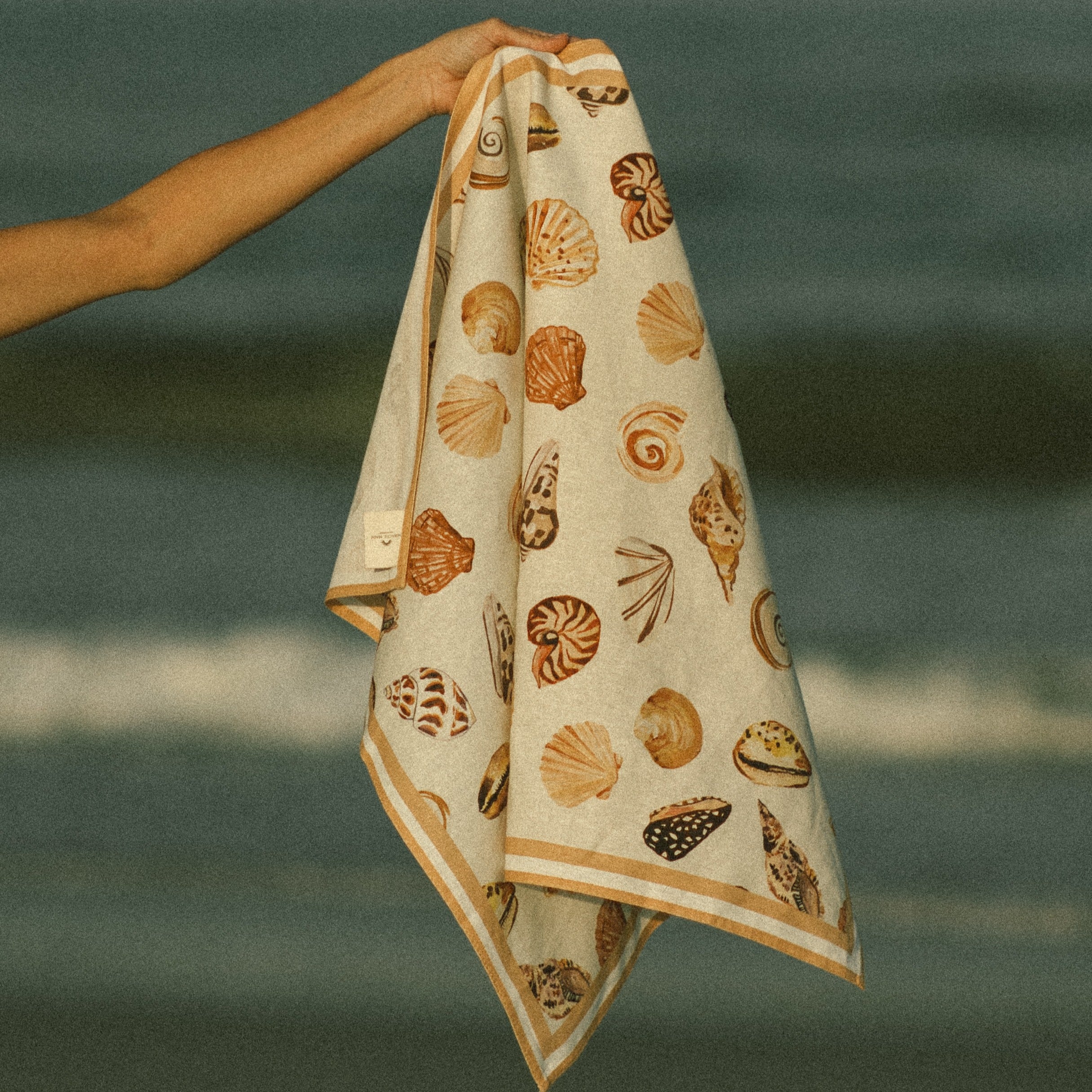 Seashell Tea Towel